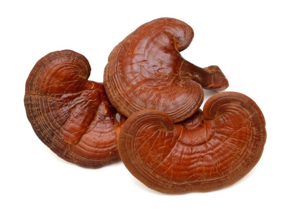 Prostamin kapsüllerinde Reishi mantarı